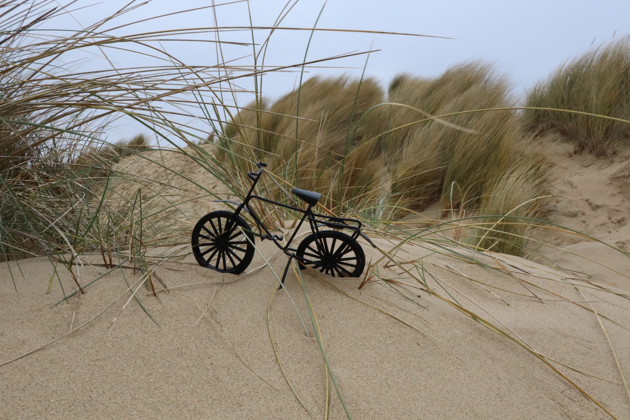 Foto: Alexandra Möller