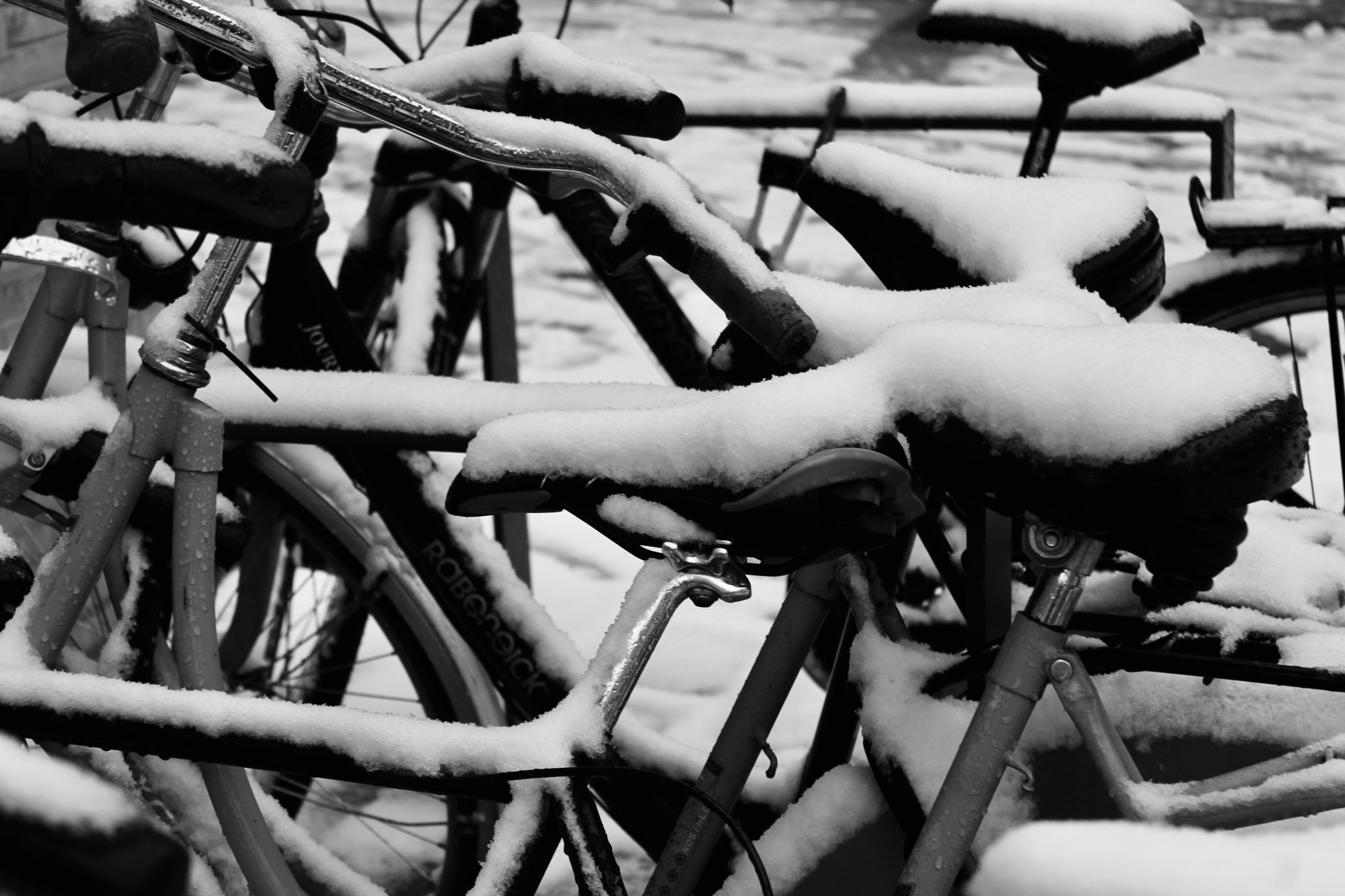 Foto: Maria Hübbers Gonzalez