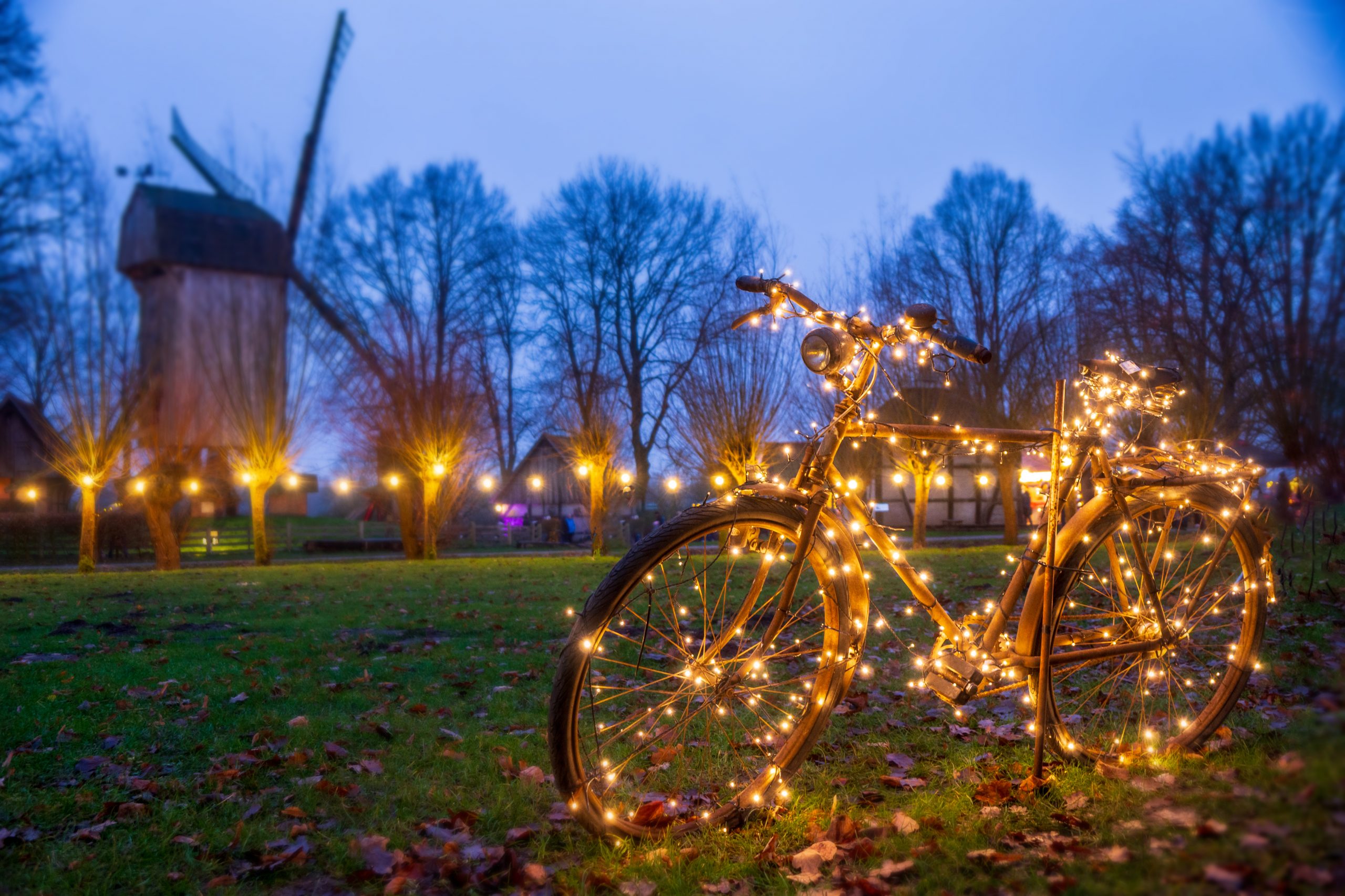 Foto: Katharina Stegemann