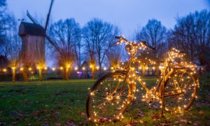 Foto: Cathrin Stegemann-Wibbelt